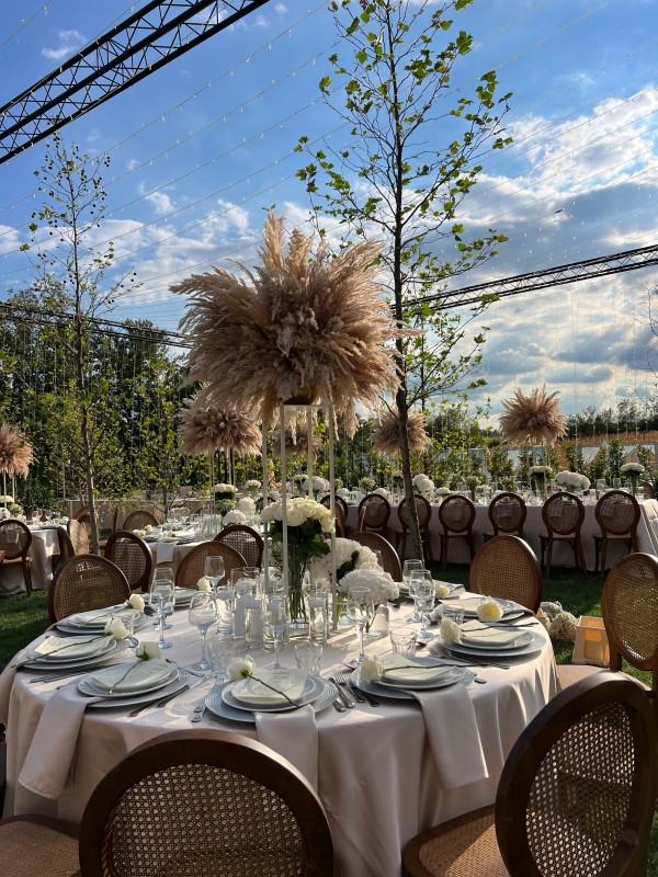 Hotel Hyde Hill / Bikini and Champagne